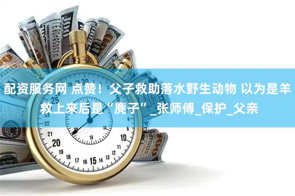 配资服务网 点赞！父子救助落水野生动物 以为是羊 救上来后是“麂子”_张师傅_保护_父亲