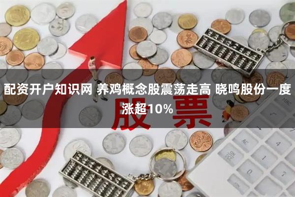 配资开户知识网 养鸡概念股震荡走高 晓鸣股份一度涨超10%
