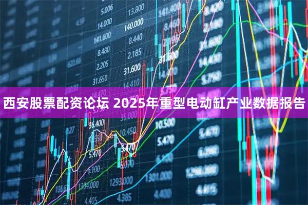 西安股票配资论坛 2025年重型电动缸产业数据报告